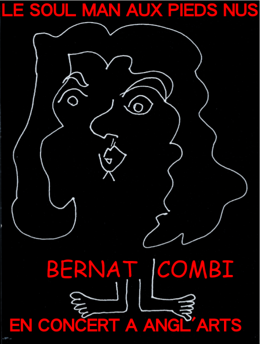 bernat combi